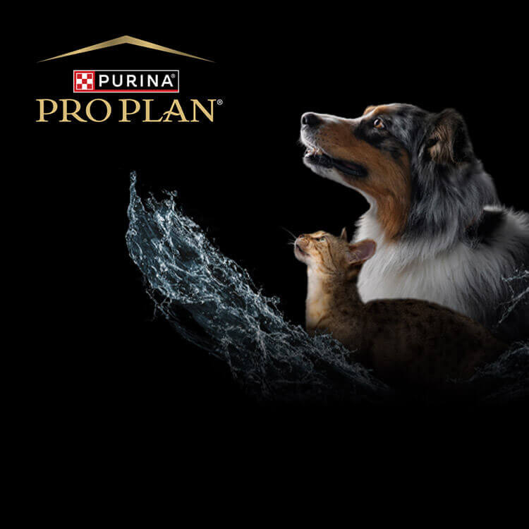 Kalkulator for vanninntak