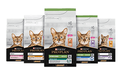 Feline Maintenance Nutrition