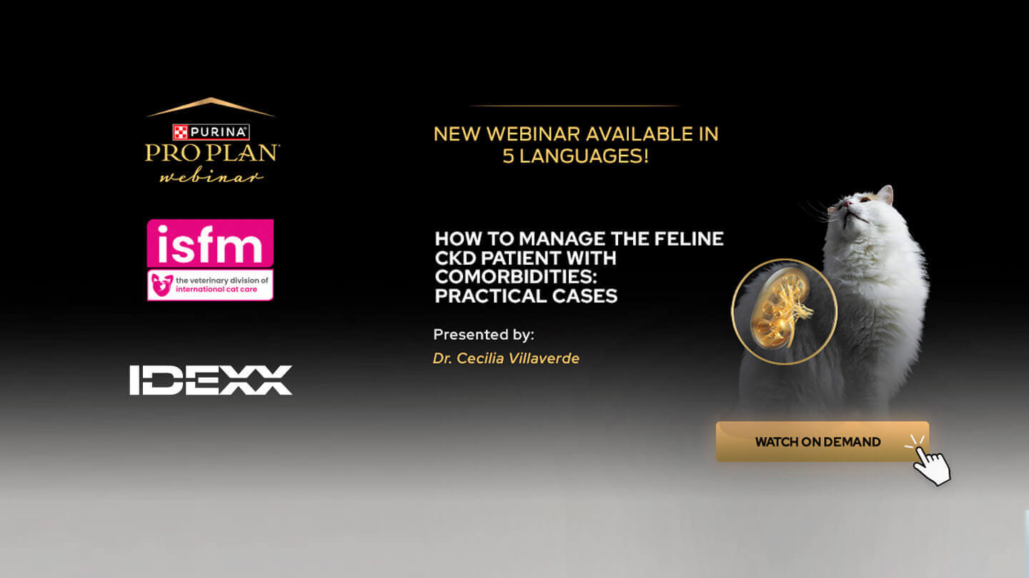 Se opptaket av webinaret «Hvordan håndtere CKD-pasienten med komorbiditeter»