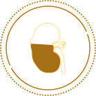 Illustration of a feline kidney symbolizing the early diagnosis step.