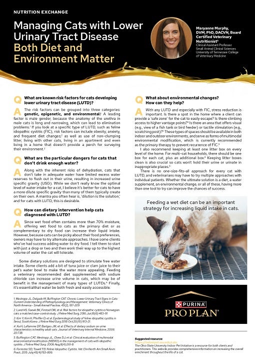 Managing Cats with Lower Urinary Tract Disease Both Diet and Environment Matter