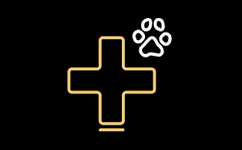 Veterinærakademi for sykepleiere