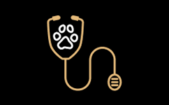 Veterinærakademi for veterinærer