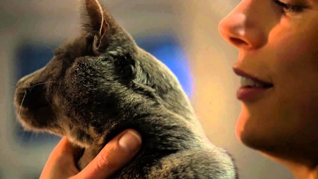 Rachel og Enzos historie | Møt Purina