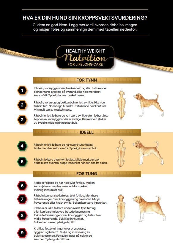 Body Condition Score - Hund