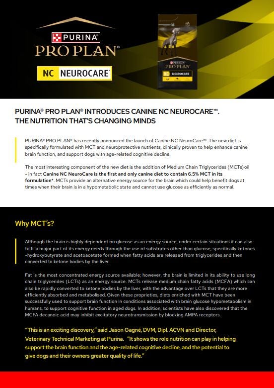 NC NeuroCare - Vet Advertorial (ENG)