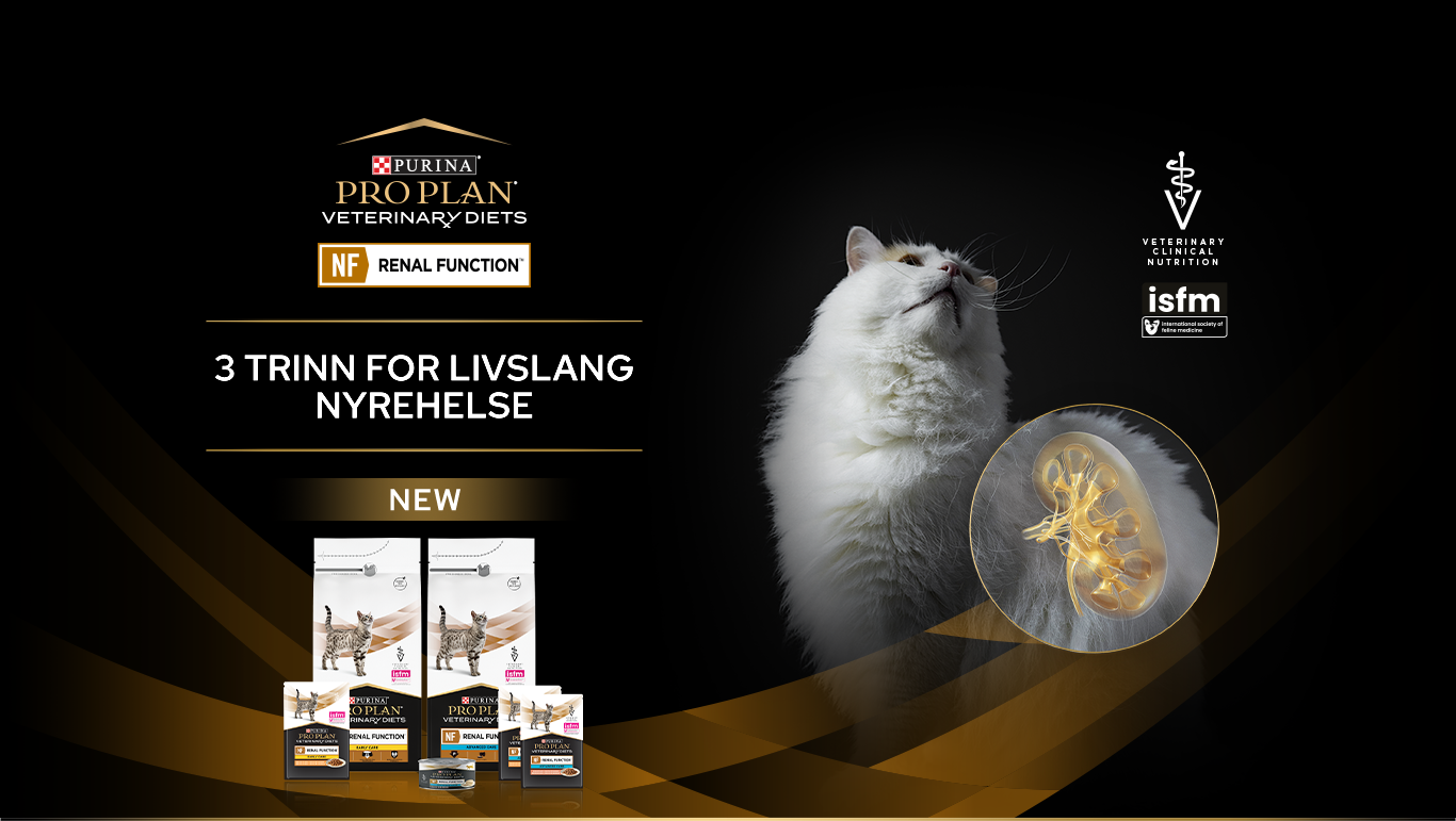 Kampanjeskilt med en hvit katt som viser de tilgjengelige Pro Plan Veterinary Diets for NF Renal Function.