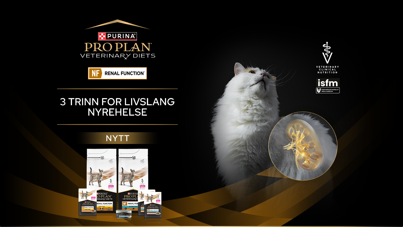 Kampanjeskilt med en hvit katt som viser de tilgjengelige Pro Plan Veterinary Diets for NF Renal Function.