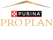 Pro Plan logo