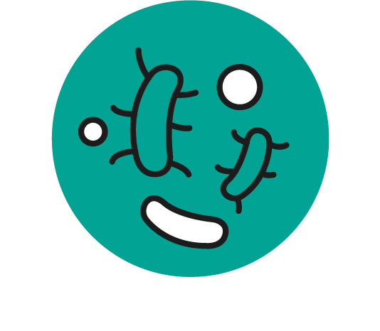 Mikrobiomet