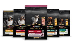 Canine Maintenance Nutrition