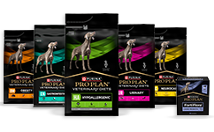 Canine Diettfôr og relaterte produkter for hund