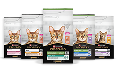 Feline Maintenance Nutrition