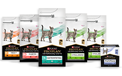 Feline Diettfôr og relaterte produkter for katt