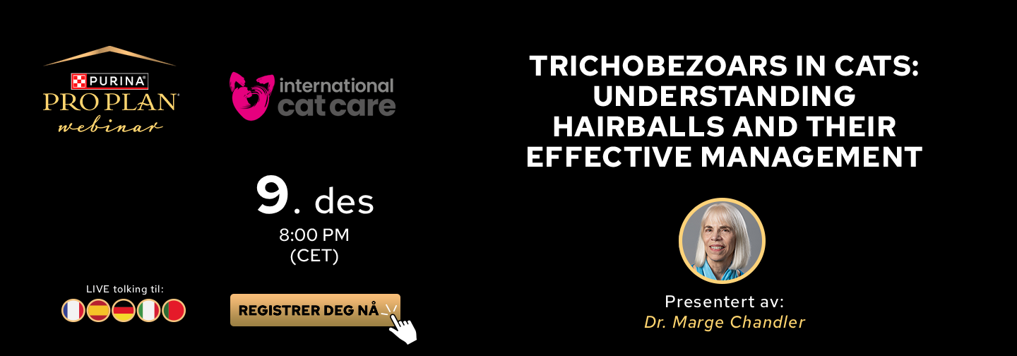 Webinar om trikobezoarer og hårballer hos katt, presentert av Dr. Marge Chandler.