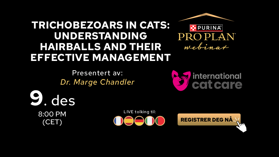 Webinar om trikobezoarer og hårballer hos katt, presentert av Dr. Marge Chandler.