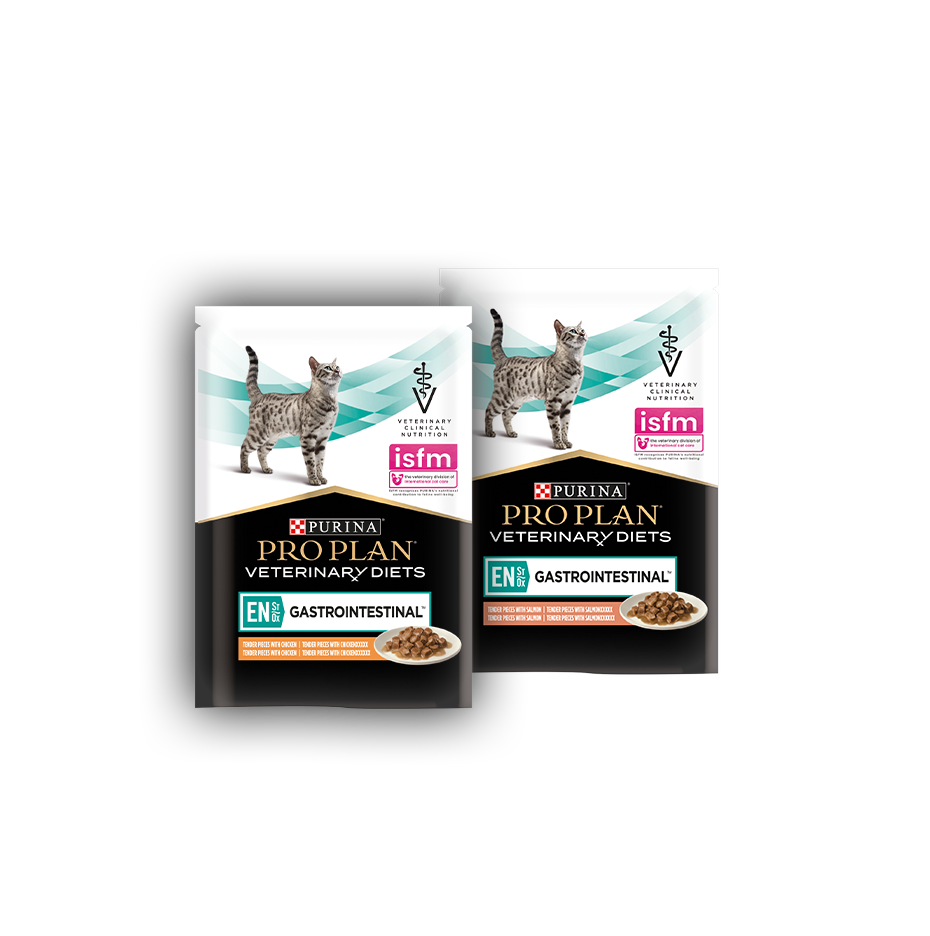 EN ST/OX GASTROINTESTINAL / KITTEN & ADULT