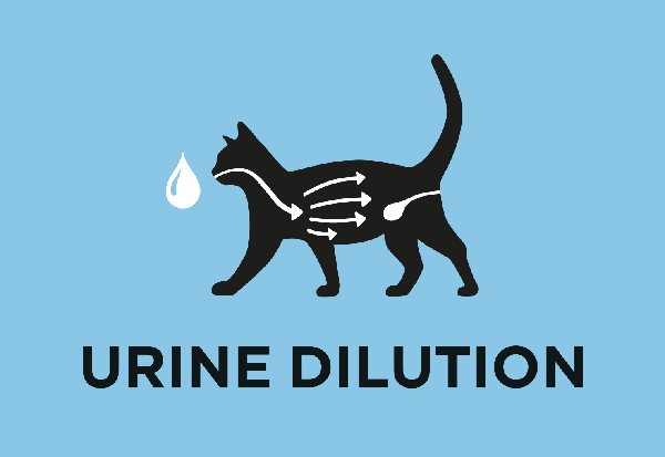 Hjelper med å øke urinfortynningen