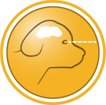 For en sunn utvikling av hjerne og syn 