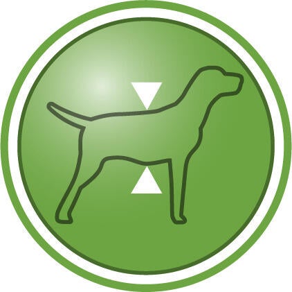 Hjelper med å opprettholde slank kroppsmasse