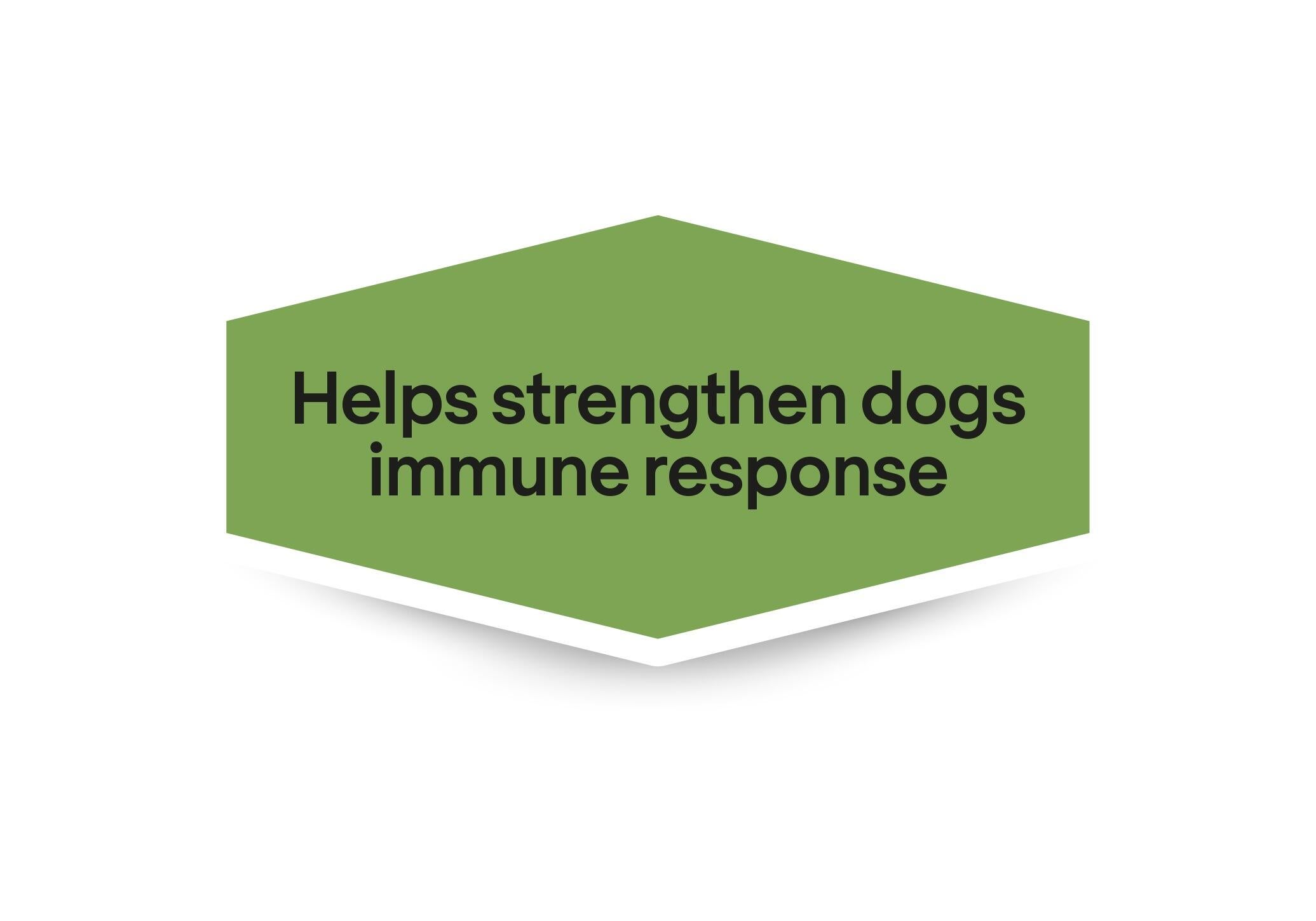Hjelper med å støtte hundenes immunrespons