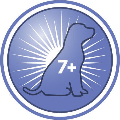 Hjelper med å øke aktivitetsnivået, livlighet og interaksjon i leketiden til eldre hunder