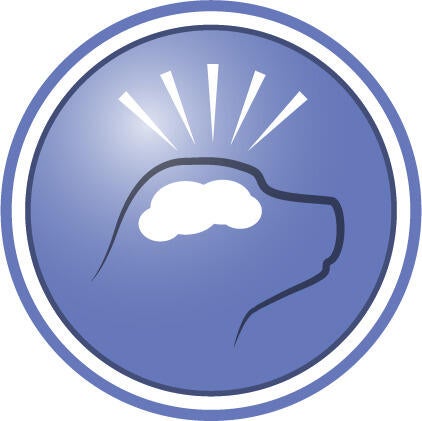 Vist å hjelpe støtte kognitiv funksjon og øke aktivitetsnivået