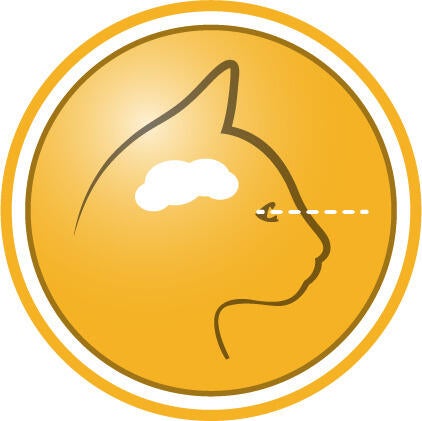 Hjelper støtte sunn utvikling av hjerne og syn