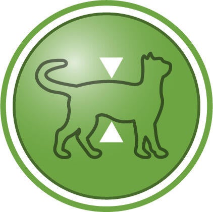 Hjelper med å opprettholde slank kroppsmasse etter sterilisering