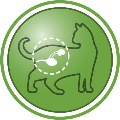 Hjelper med å opprettholde god urinveishelse hos kastrerte katter