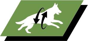 Support healthy joints and active lifestyle