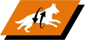 Støtter sunne ledd og en aktiv livsstil