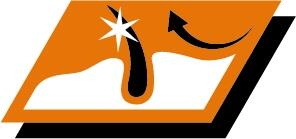 Keep your dog's coat beautifully shiny