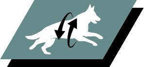 Støtter sunne ledd og en aktiv livsstil