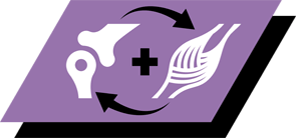 Hjelper støtte sterke bein og sunn muskelvekst