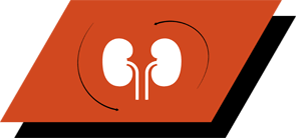 Med arginin, antioksidanter og omega-3 fettsyrer for å fremme sunn nyrefunksjon