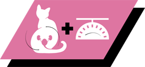 Utviklet for steriliserte katter for å opprettholde urinhelse og ideell kroppsvekt