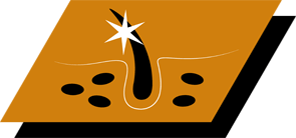 Med omega-3 og 6 fettsyrer for å opprettholde sunn hud og vakker pels