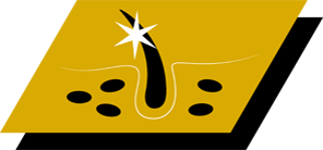 Hjelper med å opprettholde en sunn hud og en blank pels takket være vitamin A, linolsyre og sink