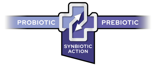 Combination of probiotic and prebiotic resulting in synbiotic action