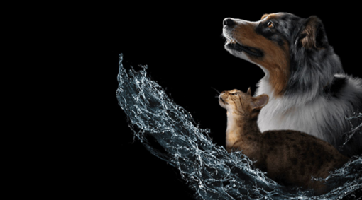 Vanninntaks kalkulator