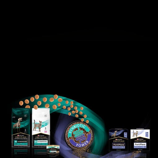 Gjør en forskjell for tarmhelsen med den synbiotiske kraften til prebiotika og probiotika