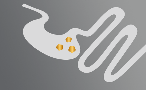 Gastrointestinal Helse