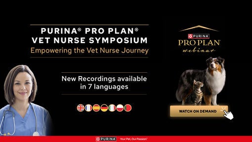 Nye opptak tilgjengelig – Purina PRO PLAN Veterinærsykepleier-symposiet 2024