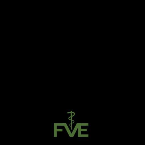 FVE banner mobile