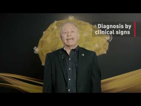 Purina Symposium 2018 - Holger Volk