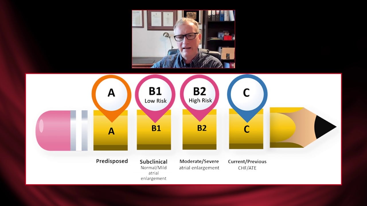5 minutters mesterklasse med Dr. Luca Ferasin om kardiomyopati hos katter. Purina-symposium