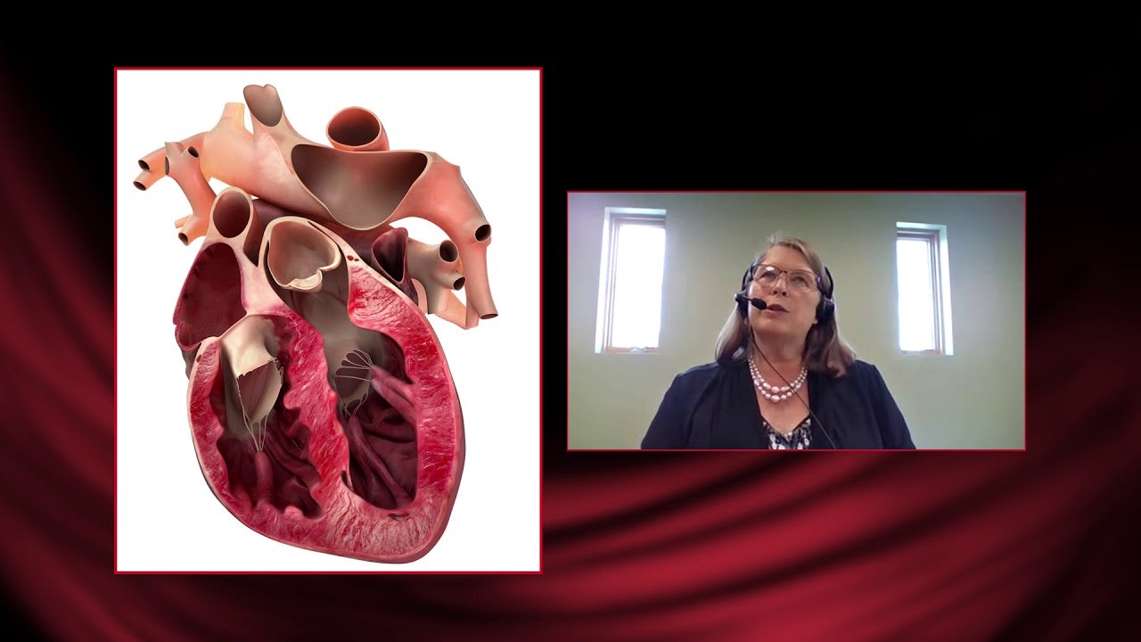 Purina Better with Pets Summit 2016 - Gary Pan and Purina Pro Plan Bright Minds Adult 7+