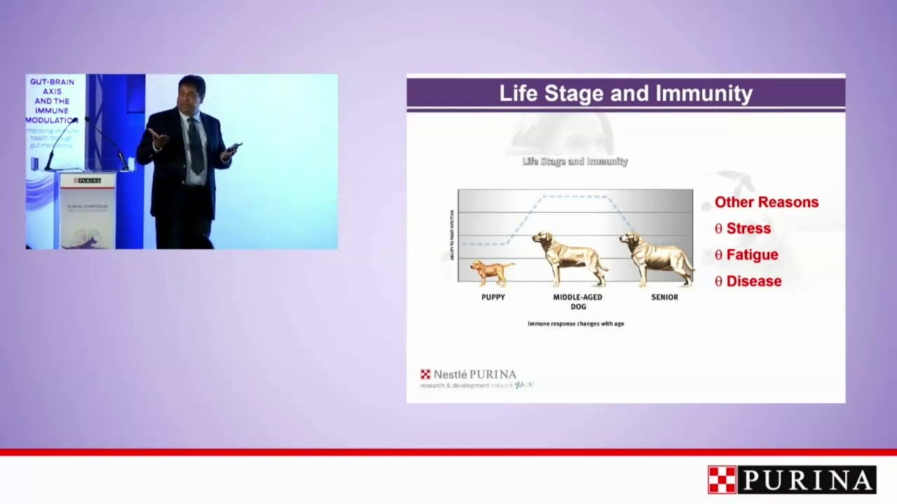 PPVD Feline UR StOx FLUTD Video