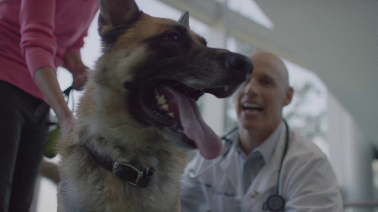 Purina Symposium 2018 - Gary Landsberg